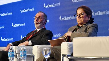 Los diputados Pablo Tonelli y