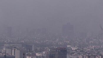 El gobierno anunció que no