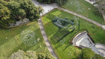 La impactante obra de “land