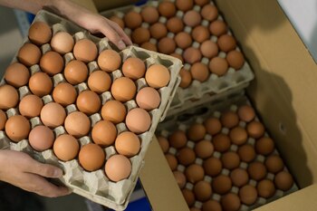 Foto: Jasper Juinen/Bloomberg