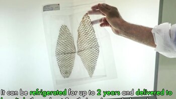 La joven podrá tener relaciones