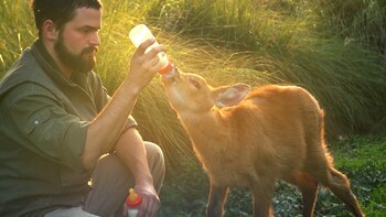 La Fundación Temaikén realiza un