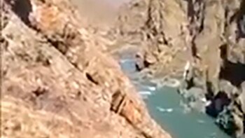 “¿Por qué invadir su hábitat?”,