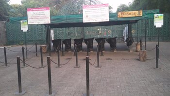 Los zoológicos se mantuvieron cerrados