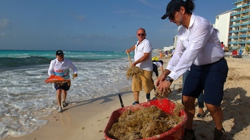 Voluntarios limpian este sábado el