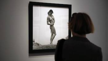 Un visitante en una muestra