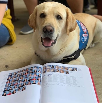 Chief, uno de los perros que ayudaron a los niños (Foto: @AerieYearbook)