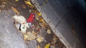 El artefacto encontrado frente al