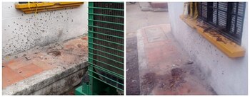 La granada fue lanzada en