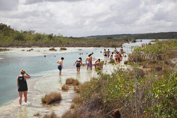 Turistas caminando sobre los estromatolitos