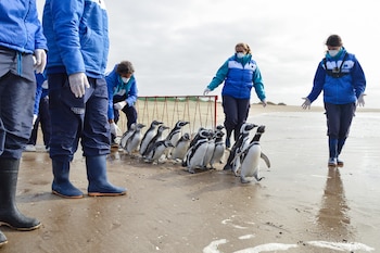 Personal de la Fundación Mundo