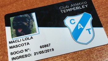El carnet de la primera