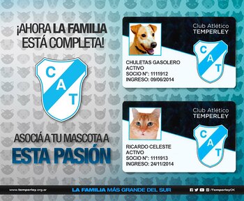 La iniciativa que Temperley publicó