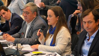 La diputada Marcela Passo expresó