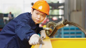 Los chinos llegan con su