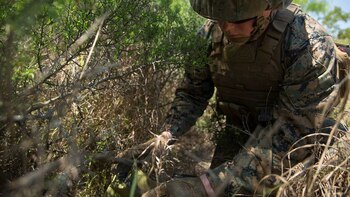 Marine realizando un patrullaje en