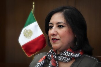 Irma Sandoval, titular de la