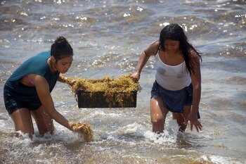 En las últimas horas la