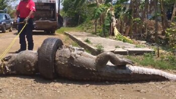 Bomberos y personal de Protección