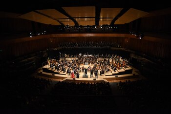 Vista de conjunto durante la
