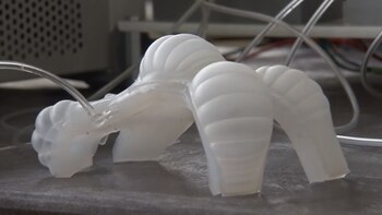 Uno de los robots blandos