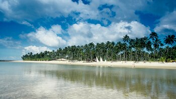 El Club Med Itaparica se