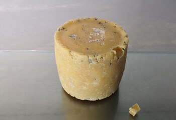 ¿Comerías un queso hecho con