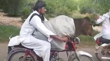 Se cree que el hecho