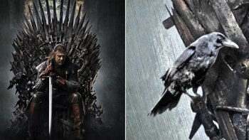 Usuarios en redes aseguraron que