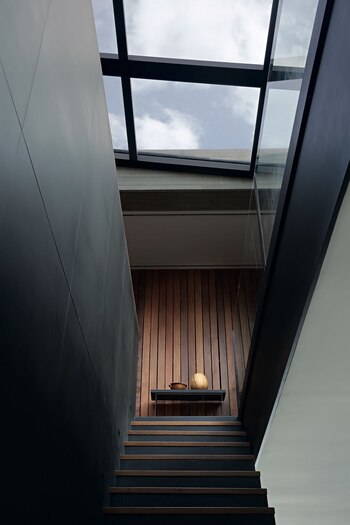 Transparencias y opacidades se conjugan