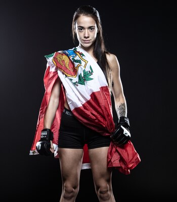 Imagen SPENQJCQ6FFRRFIQKEZUG26SCQ