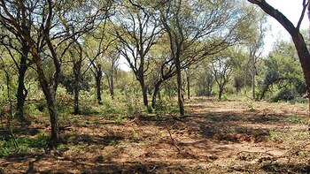 Campo de Cielo está ubicado