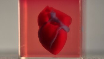 El primer corazón fabricado en