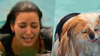 La socialité aseguró con la llegada