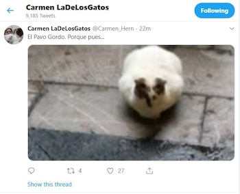 Imagen X23TVSLZZRF2TKFUWUWV2PBV2Y