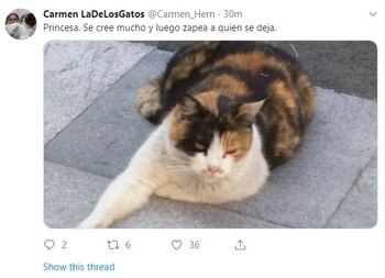 Imagen JEV3DC6HXBFBRMOUYTDNUVABHA