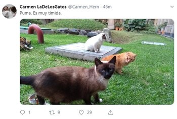 Imagen TJZZAFPU5NGV7EULTOMC6YNK5E