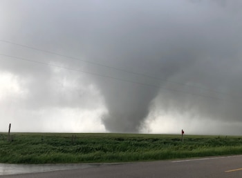 Según Krastel, en la foto