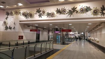 Obra a cargo de Marcela