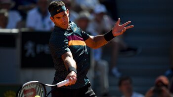 Del Potro se impuso ante