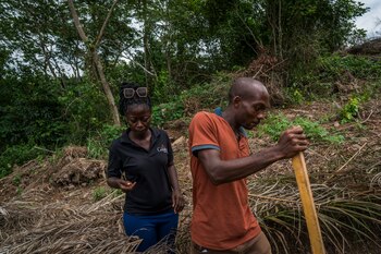 Nana Adjoa A. Sifa, a la izquierda, no usa pesticidas en su granja. Dice que es responsabilidad de los granjeros jóvenes como ella impulsar cambios en el sector. (Nana Kofi Acquah/The New York Times)