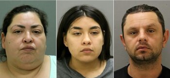 Los detenidos están siendo procesados.