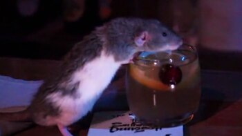 Otras ciudades de Estados Unidos