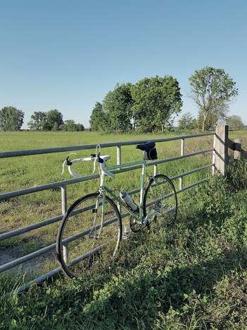 Andar en bici fortalece el sistema inmunológico: la bicicleta activa los fagocitos, las células que eliminan las bacterias perjudiciales.