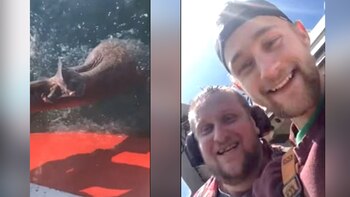 El par de individuos sonrieron