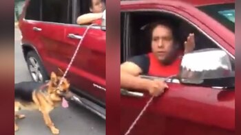 El hombre sacó a “pasear”