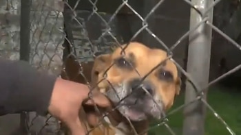 Los vecinos aseguran que “los