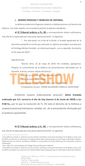 El documento que Hermida presentó en Tribunales para pedir la nulidad de la causa que Juan Darthés le inició a Anita Co