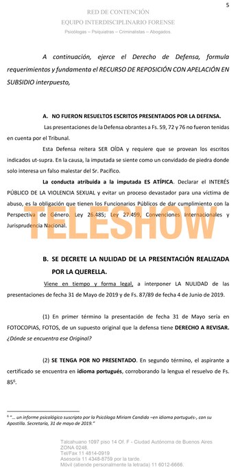 El documento que Hermida presentó en Tribunales para pedir la nulidad de la causa que Juan Darthés le inició a Anita Co