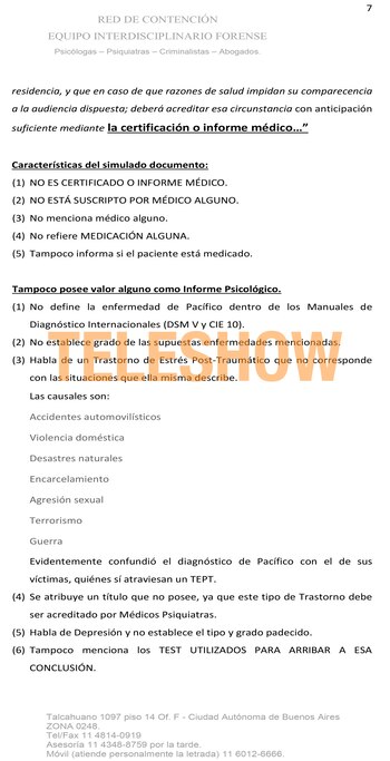 El documento que Hermida presentó en Tribunales para pedir la nulidad de la causa que Juan Darthés le inició a Anita Co